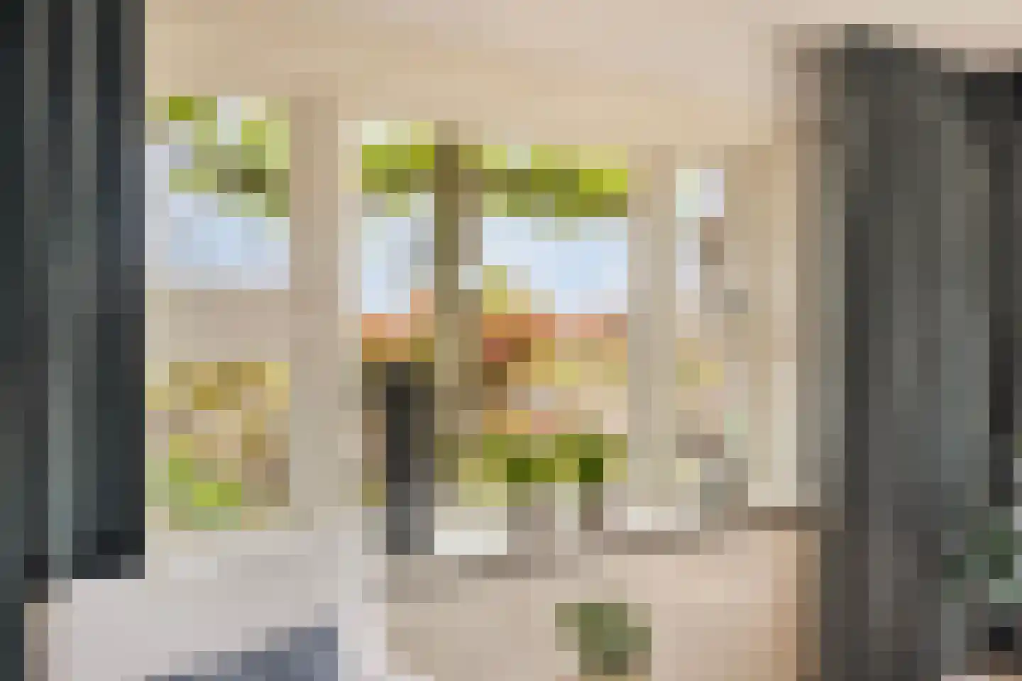 Zwartsluisje 8 Piershil thumbnail 22