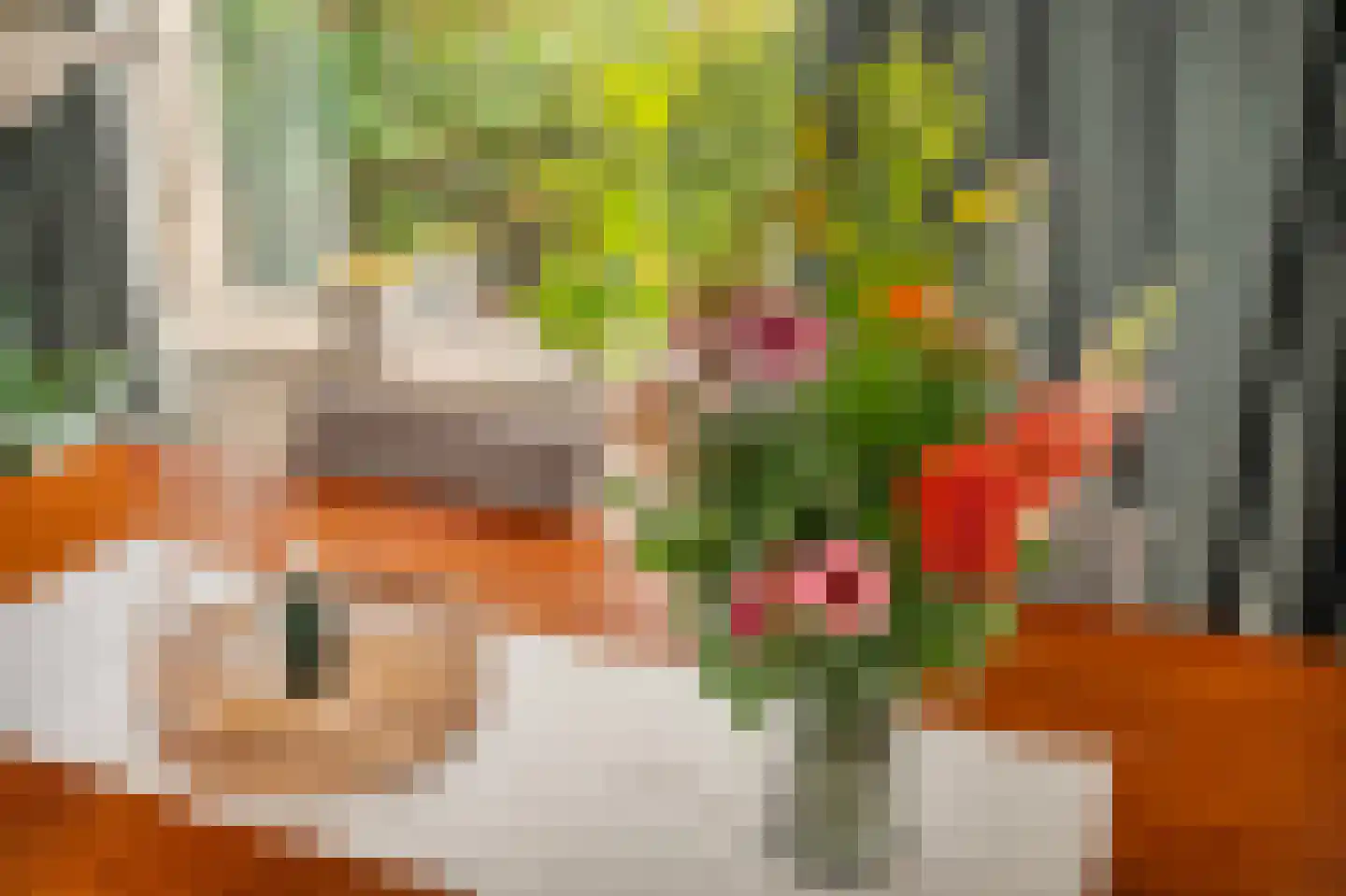 Zwartsluisje 8 Piershil thumbnail 25