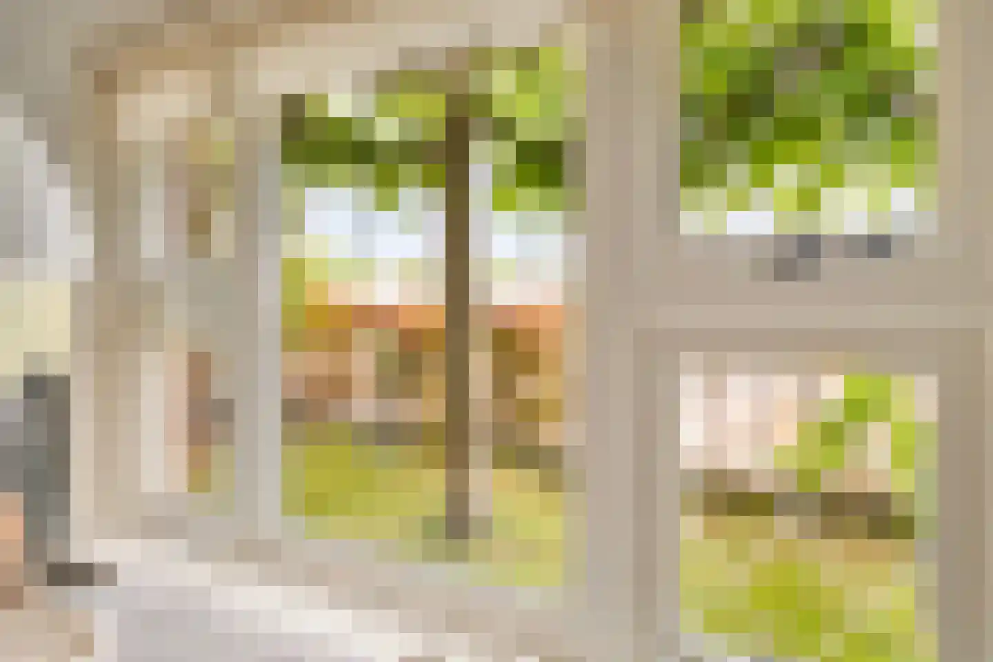 Zwartsluisje 8 Piershil thumbnail 27