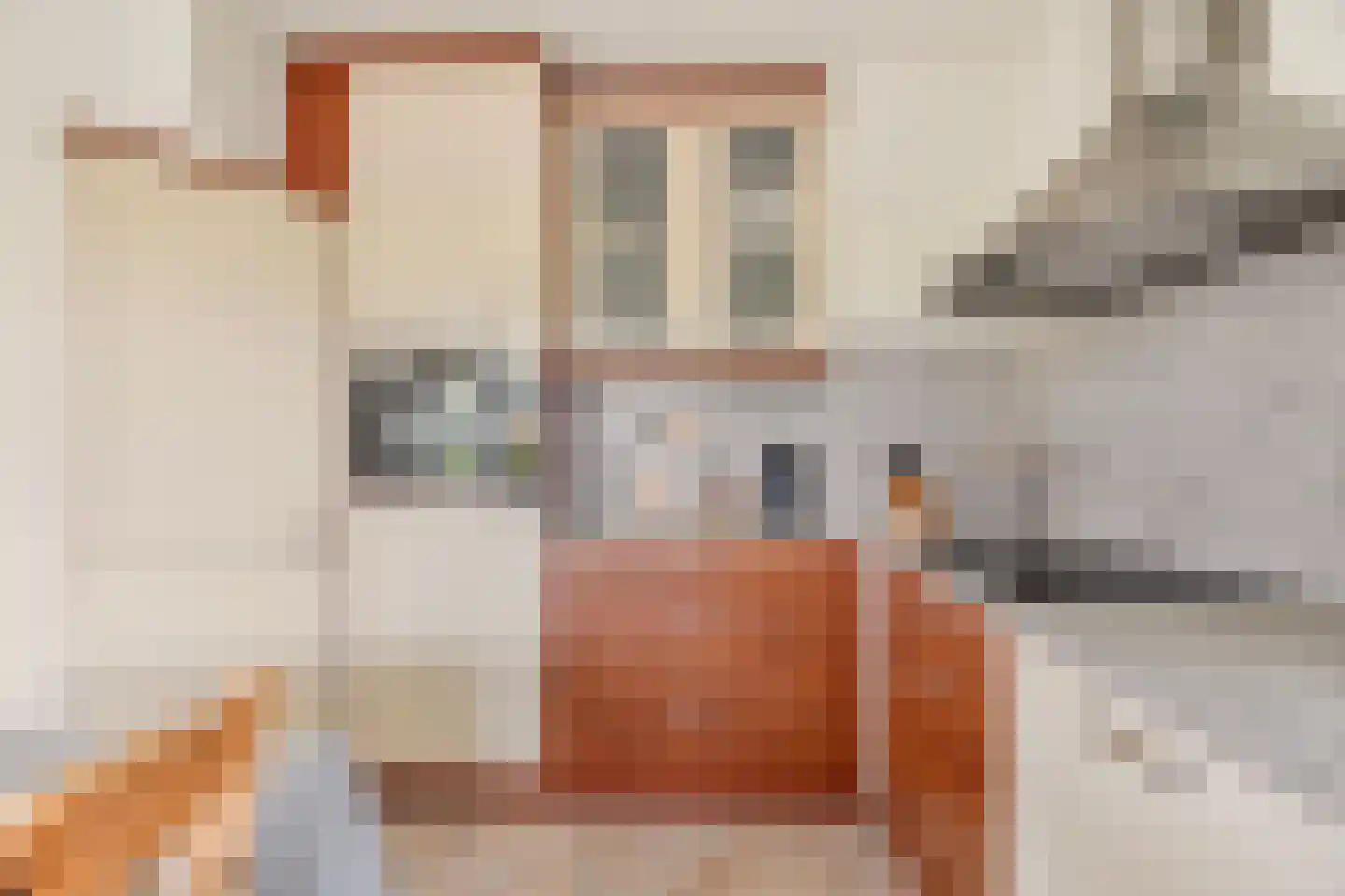 Zwartsluisje 8 Piershil thumbnail 29