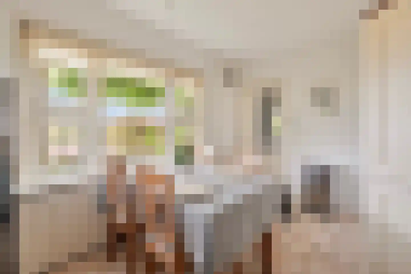 Zwartsluisje 8 Piershil thumbnail 30