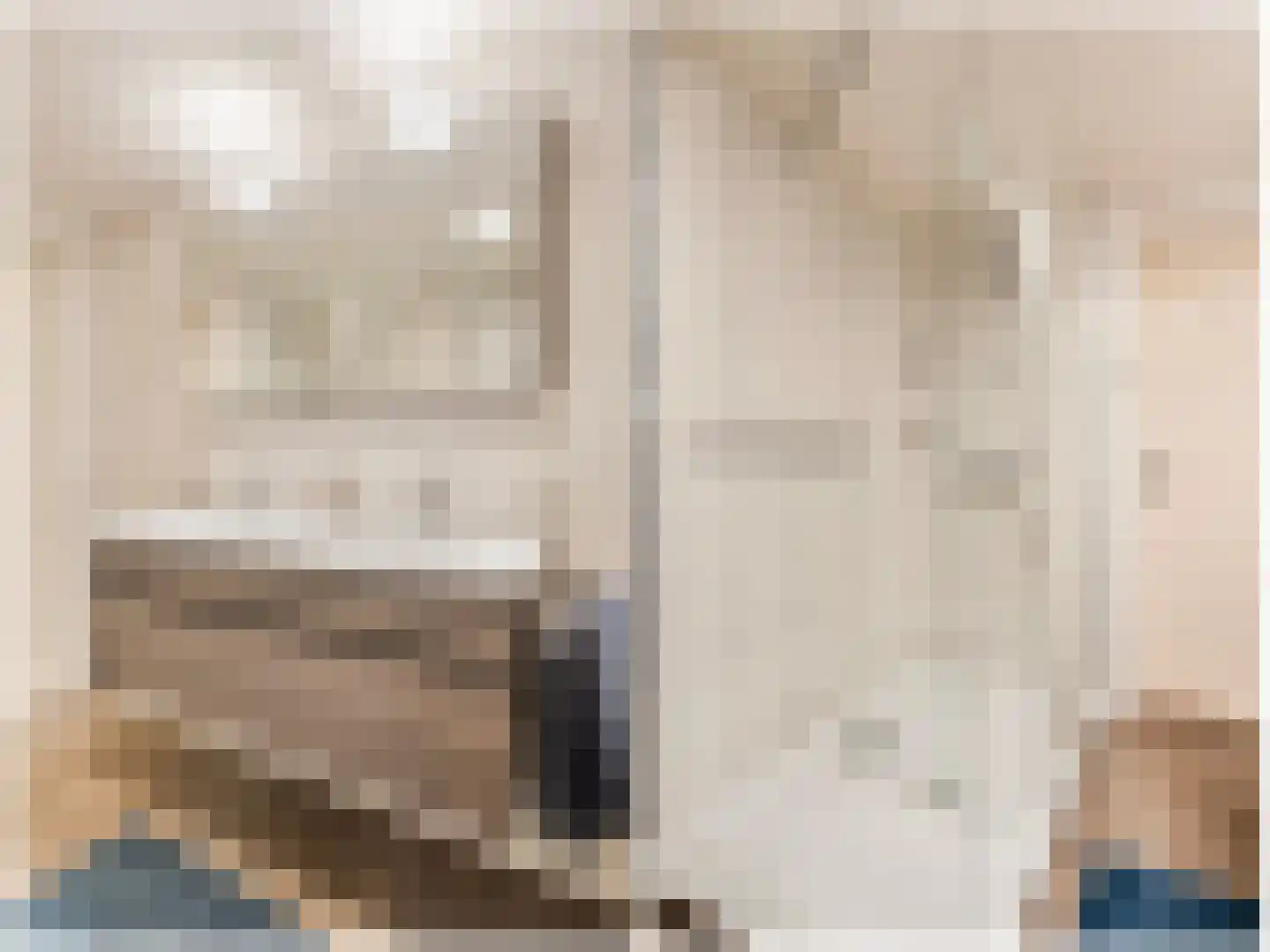 Zwartsluisje 8 Piershil thumbnail 35