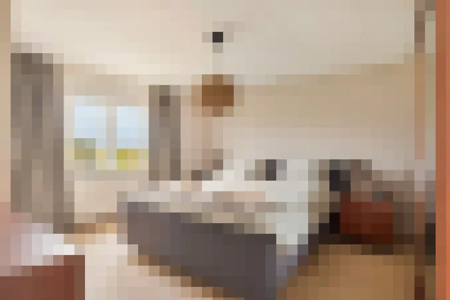 Zwartsluisje 8 Piershil thumbnail 38