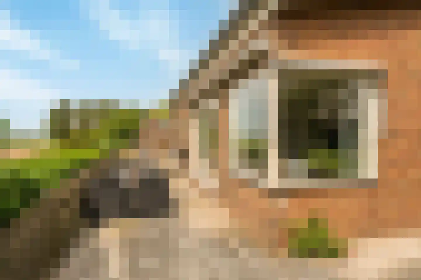 Zwartsluisje 8 Piershil thumbnail 50
