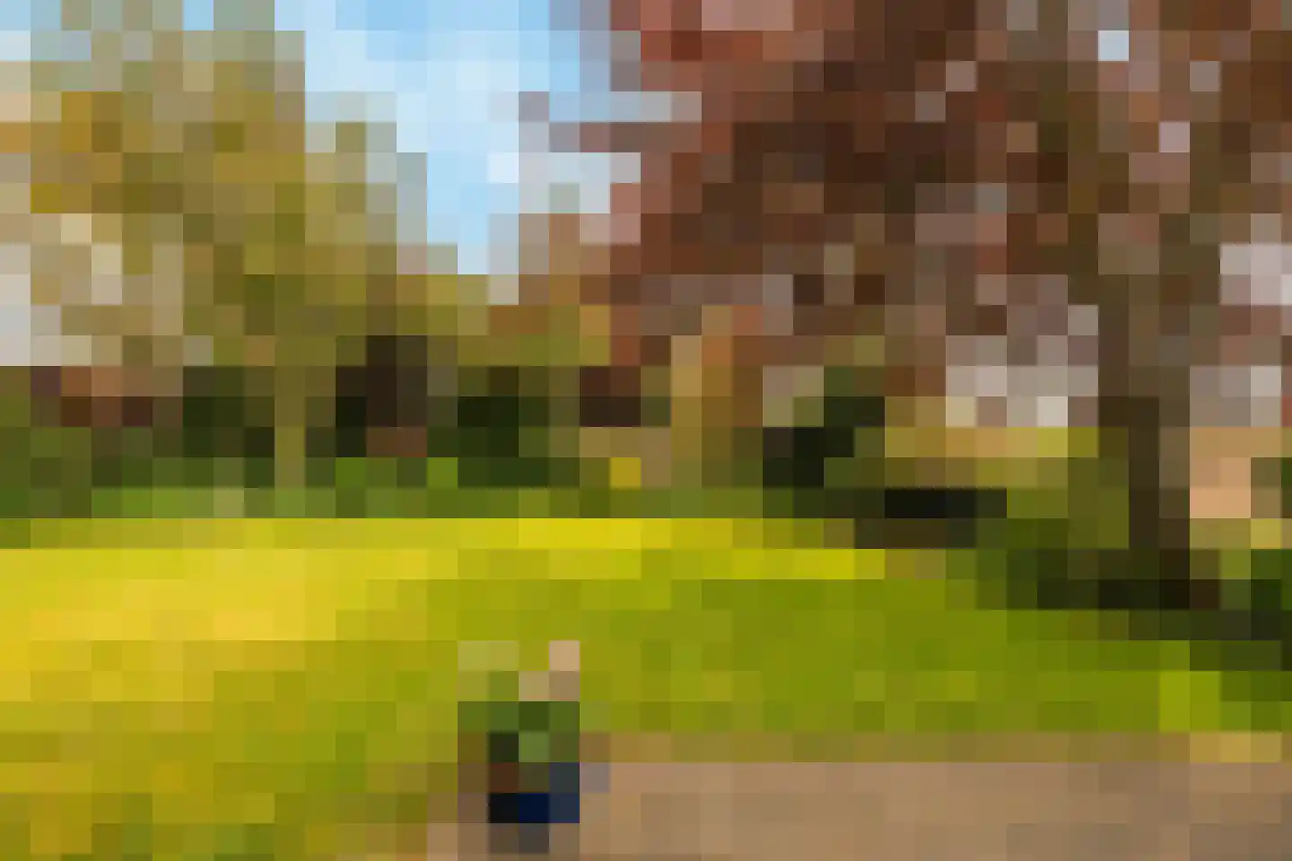 Zwartsluisje 8 Piershil thumbnail 51