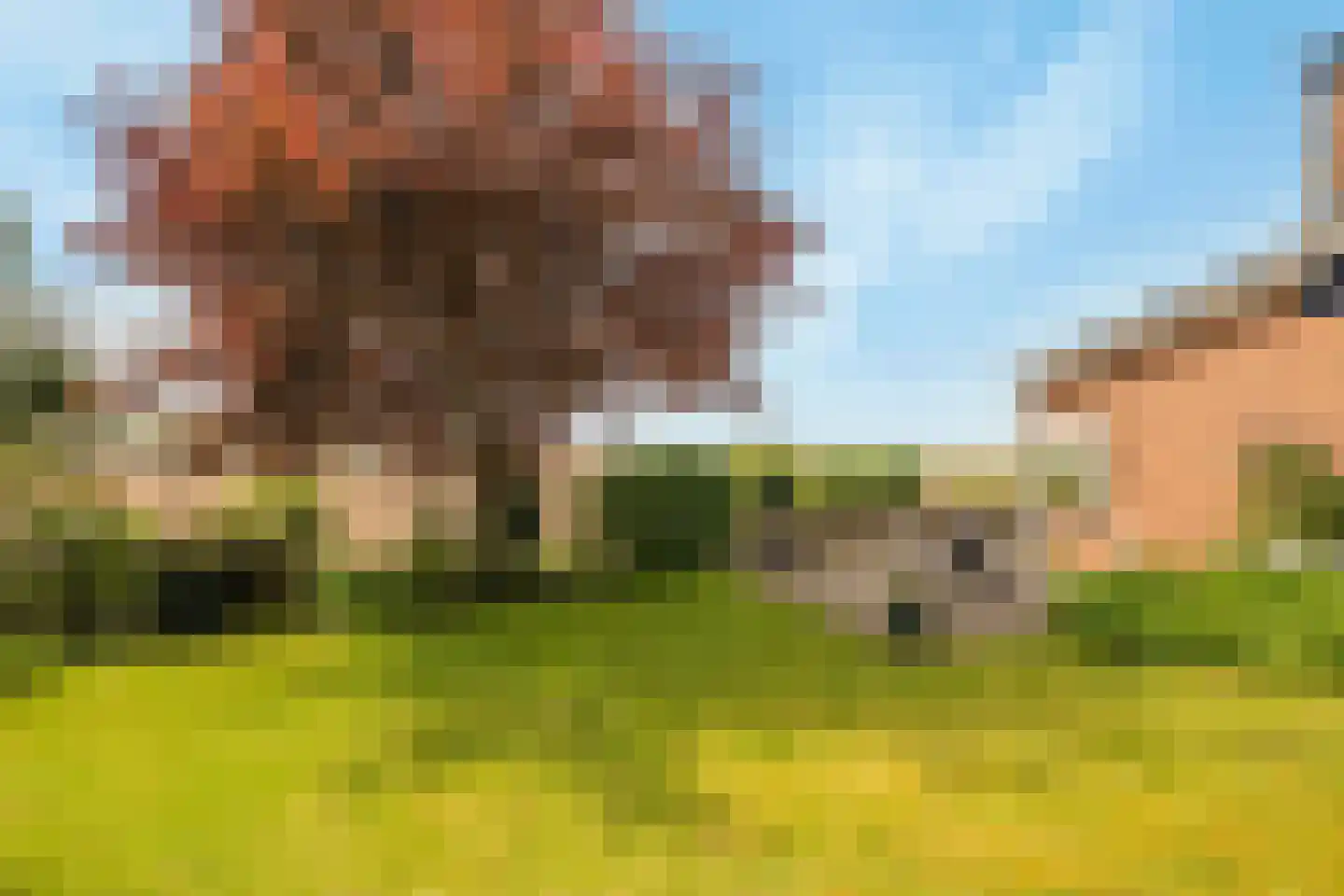 Zwartsluisje 8 Piershil thumbnail 52