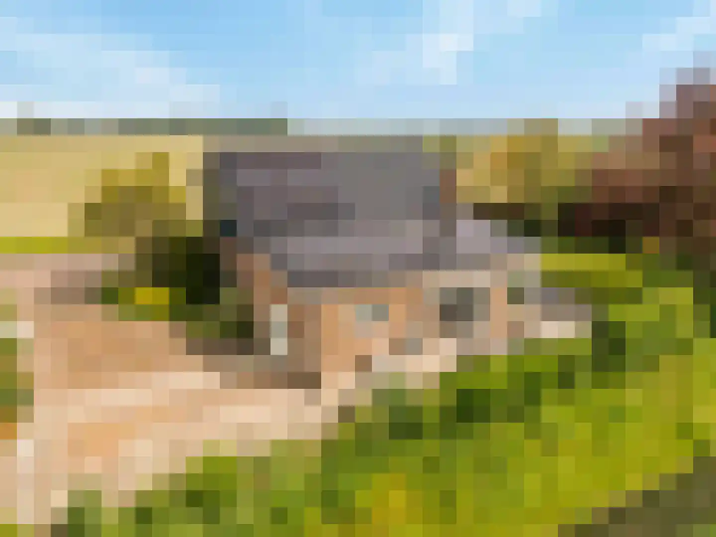 Zwartsluisje 8 Piershil thumbnail 54