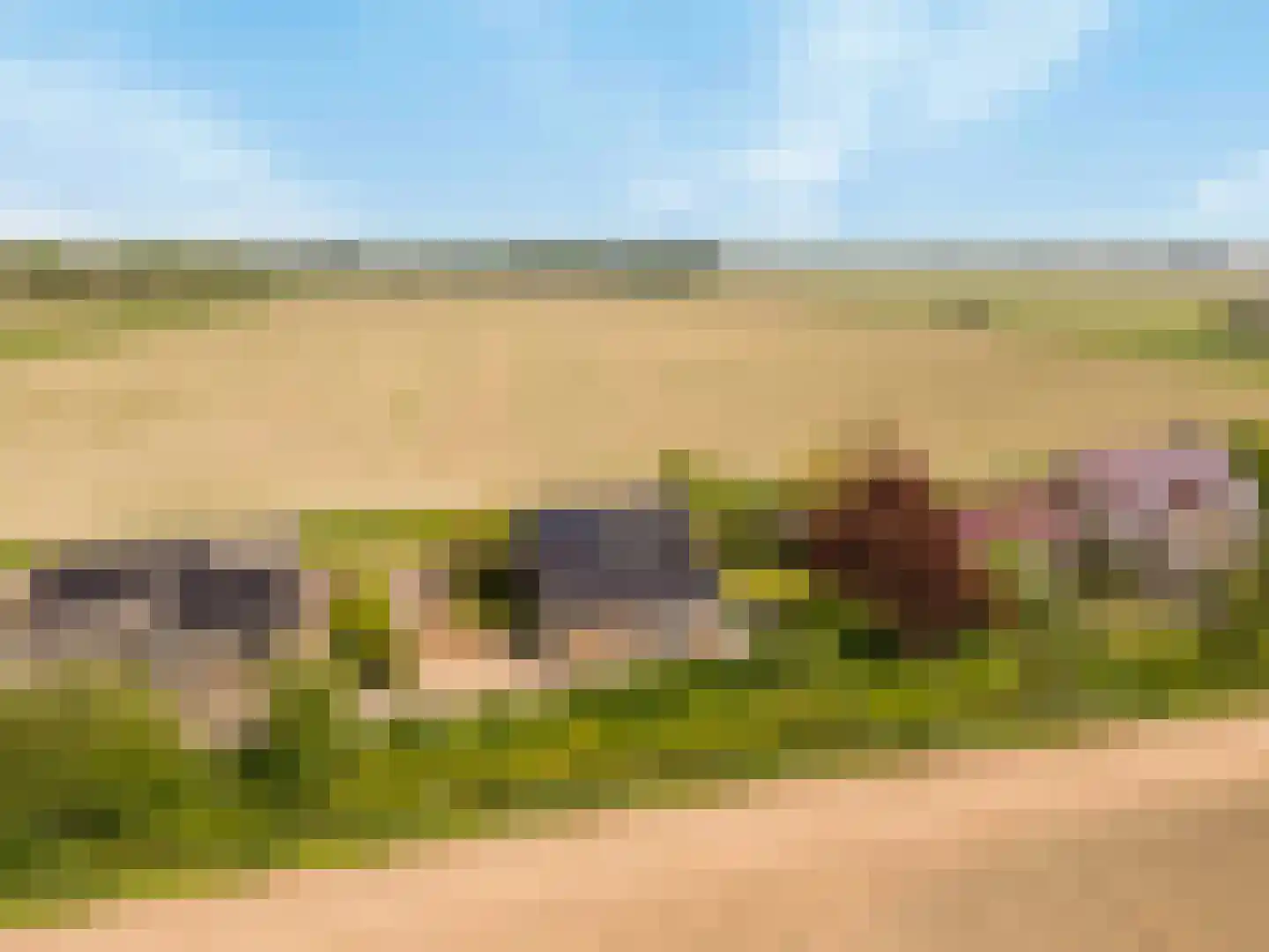 Zwartsluisje 8 Piershil thumbnail 55