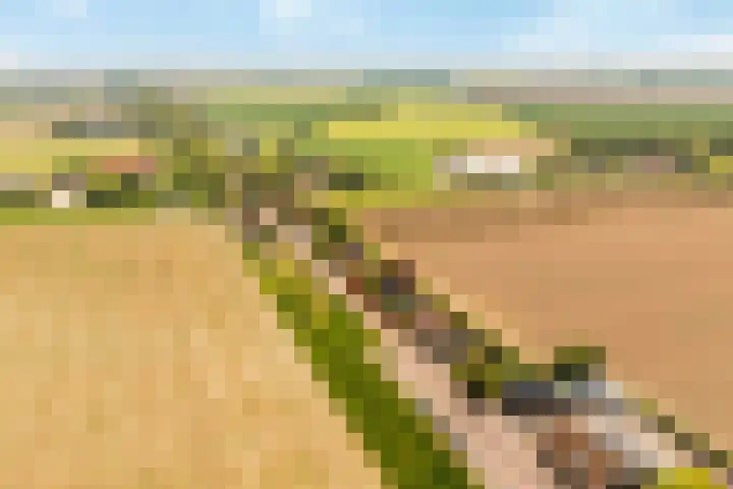 Zwartsluisje 8 Piershil thumbnail 57