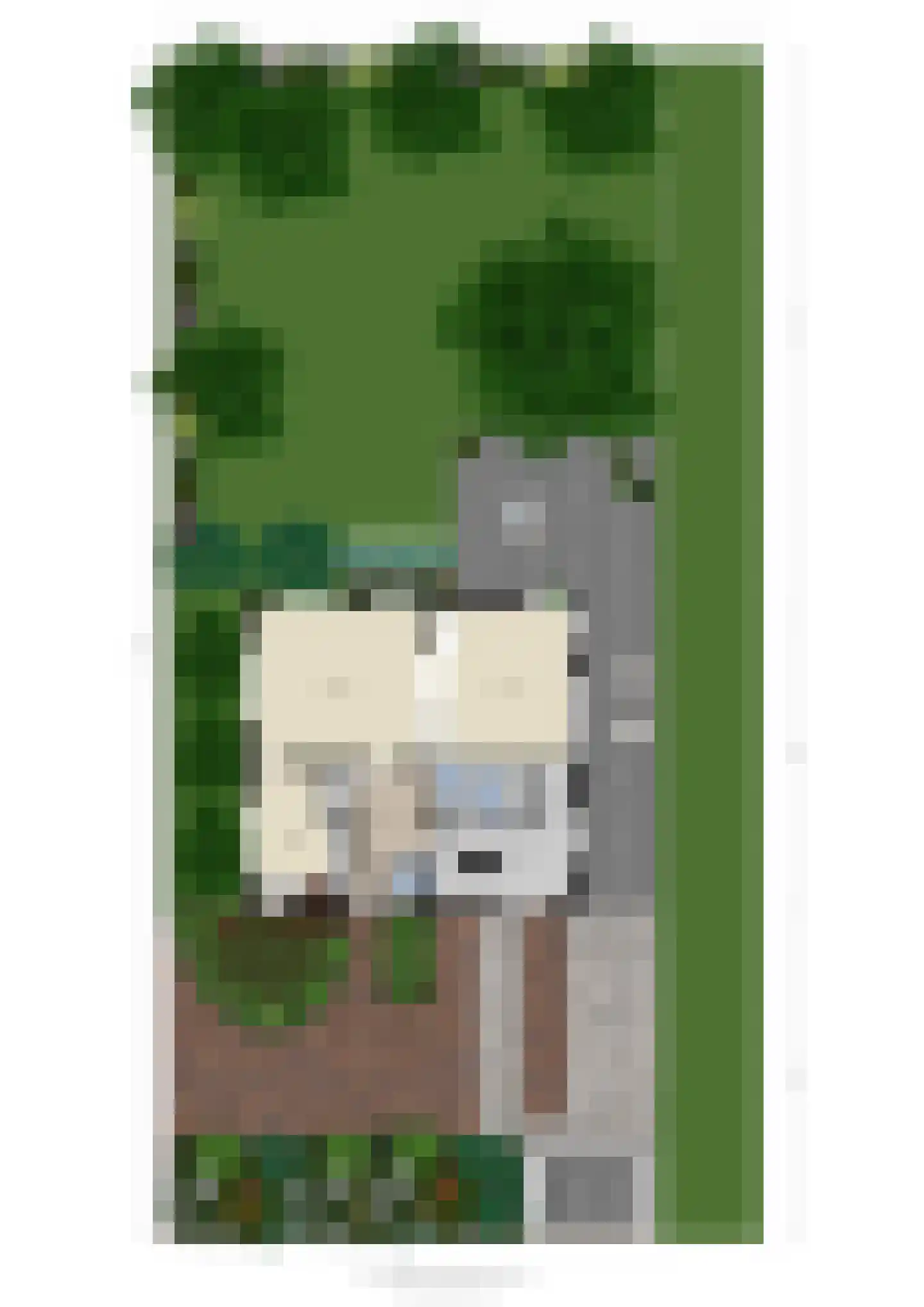 Zwartsluisje 8 Piershil thumbnail 63