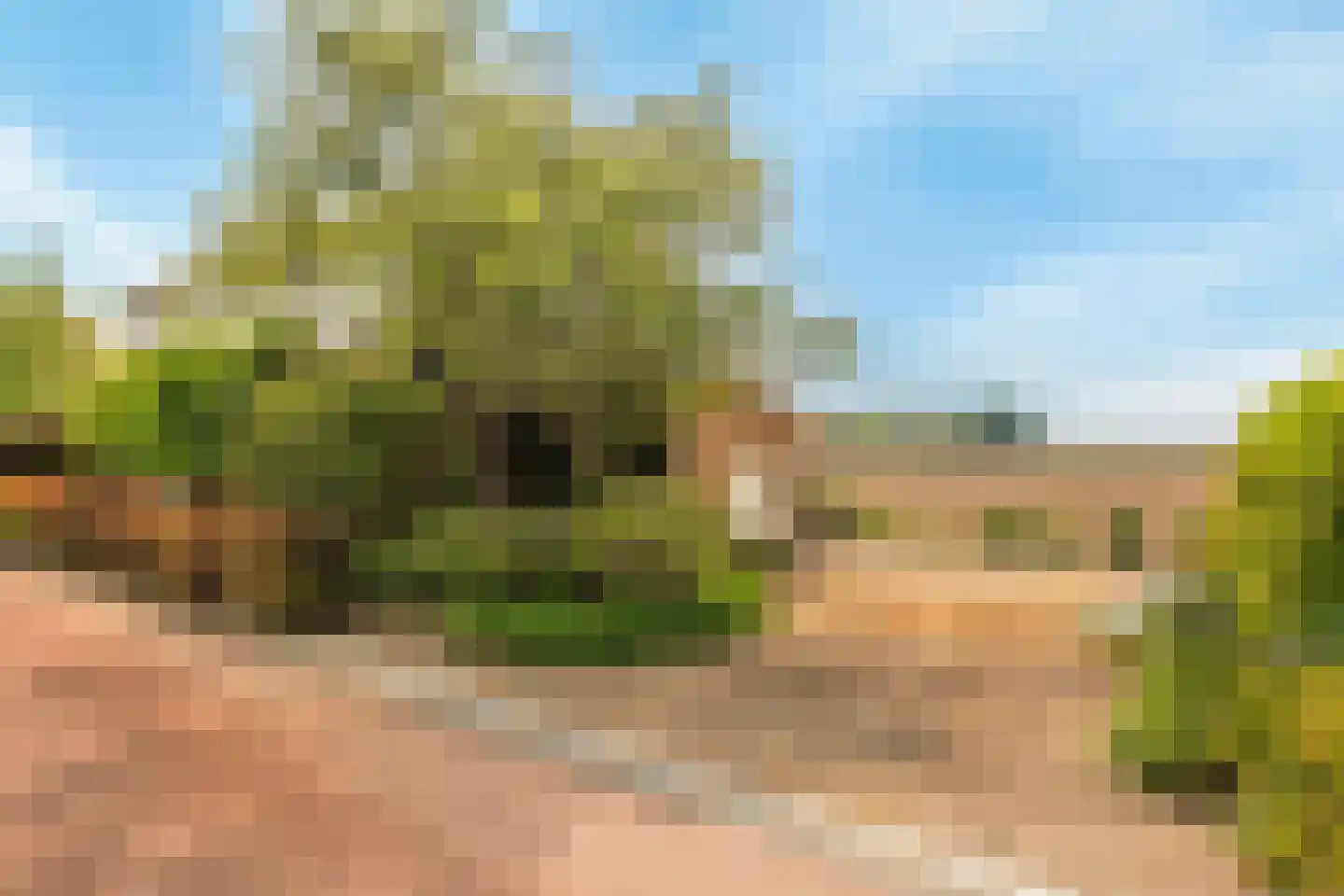 Zwartsluisje 8 Piershil thumbnail 7