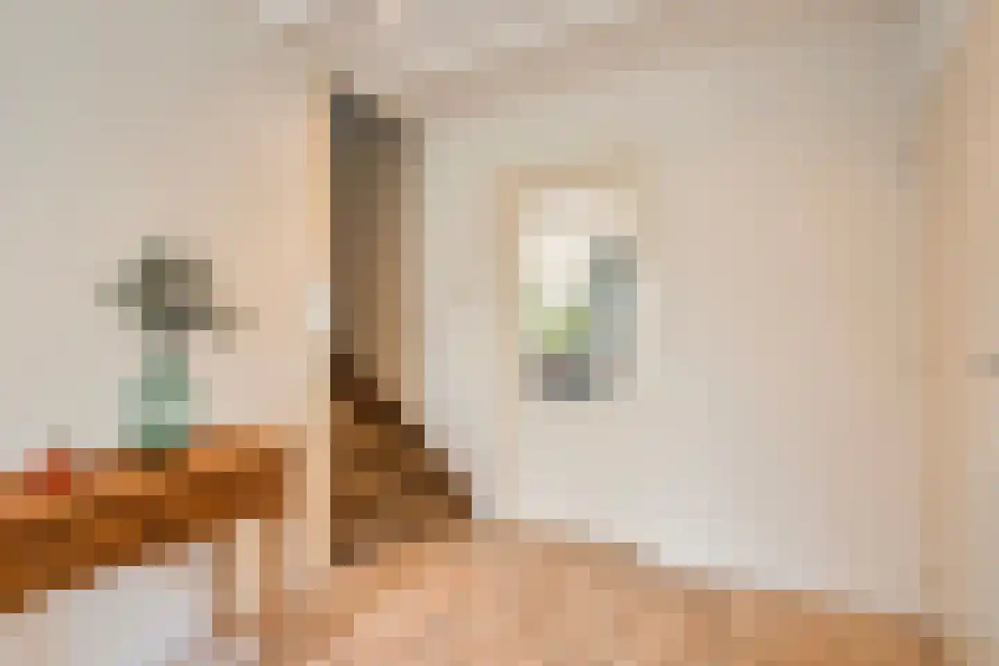 Zwartsluisje 8 Piershil thumbnail 9