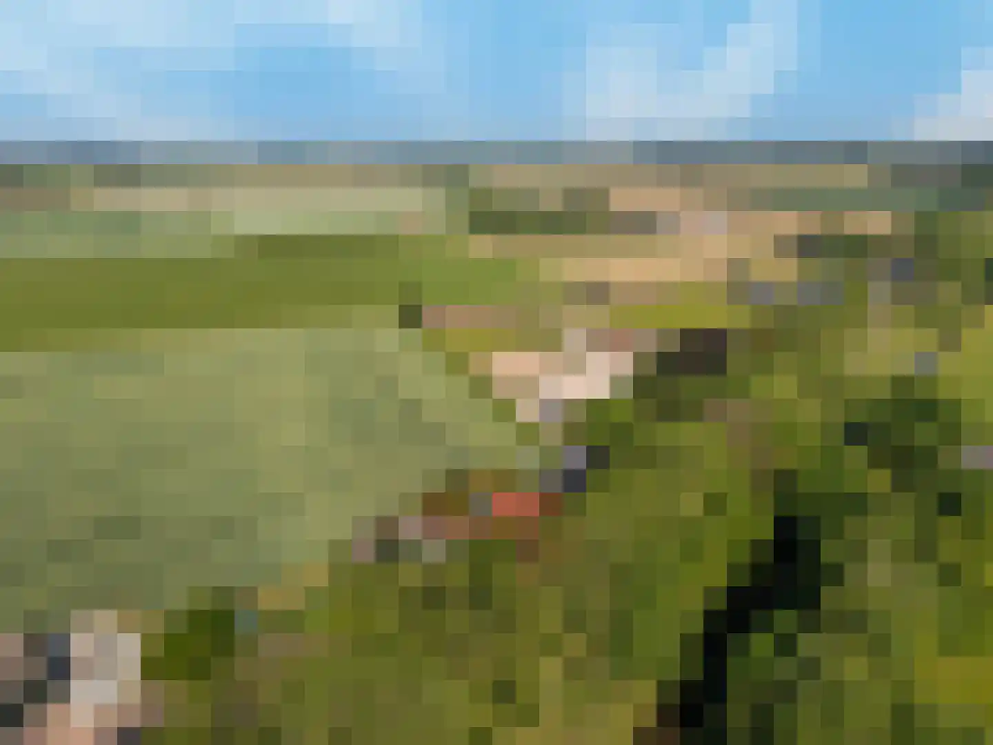 Zwartsluisje 87 Zuid-Beijerland thumbnail 41