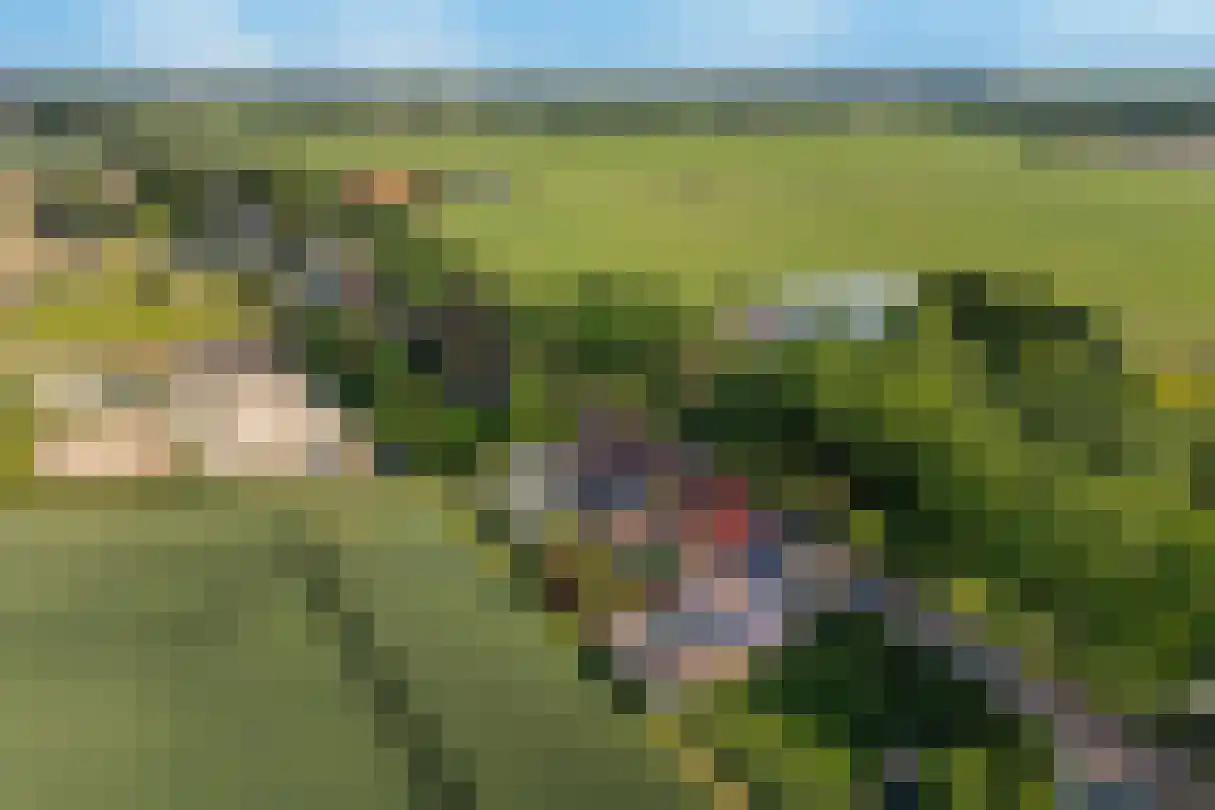Zwartsluisje 87 Zuid-Beijerland thumbnail 42