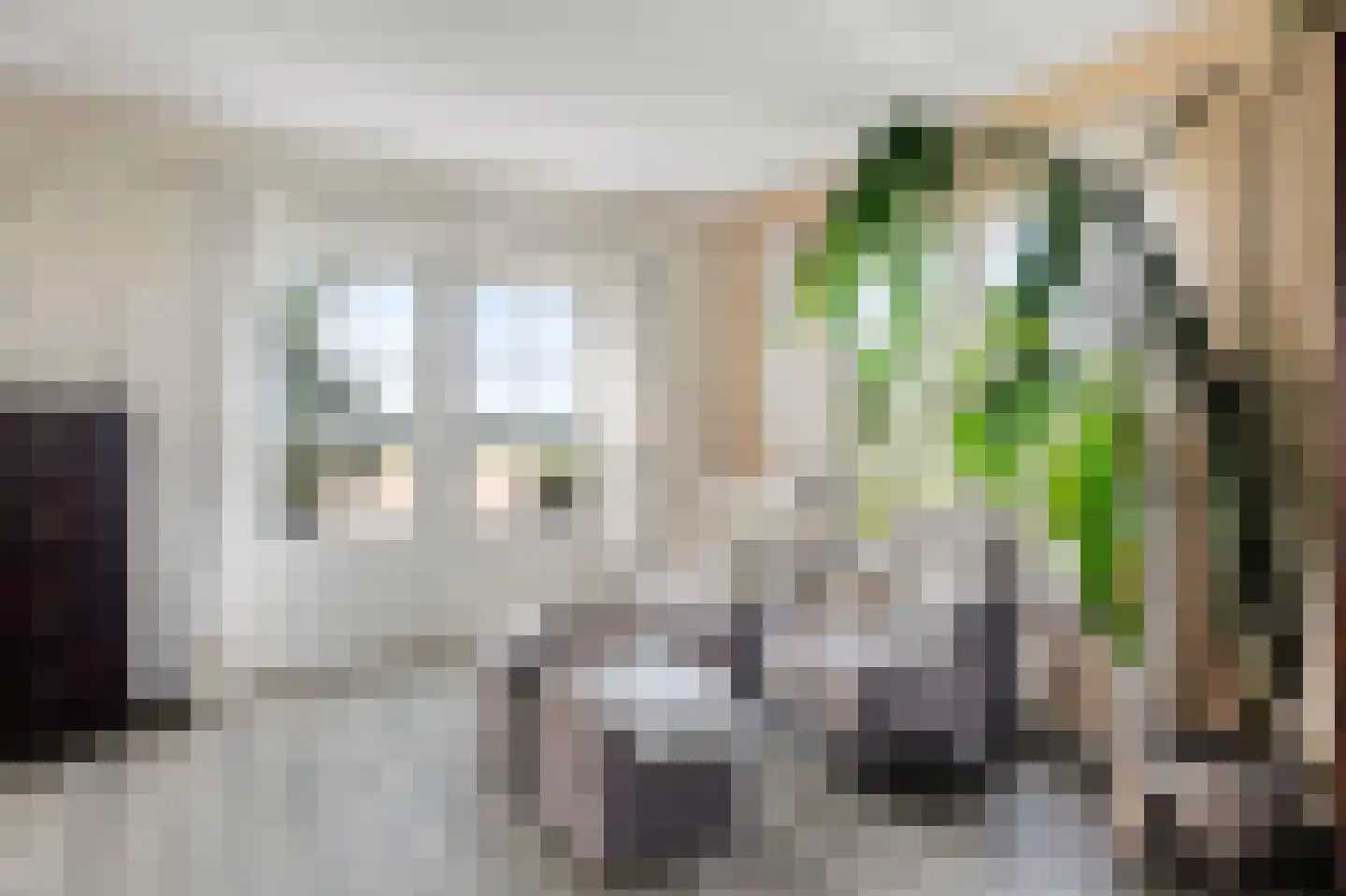 Zwartsluisje 9 Zuid-Beijerland thumbnail 12