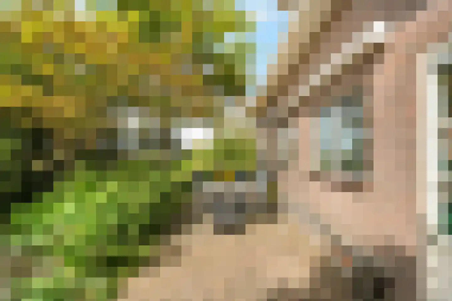 Zwartsluisje 9 Zuid-Beijerland thumbnail 19