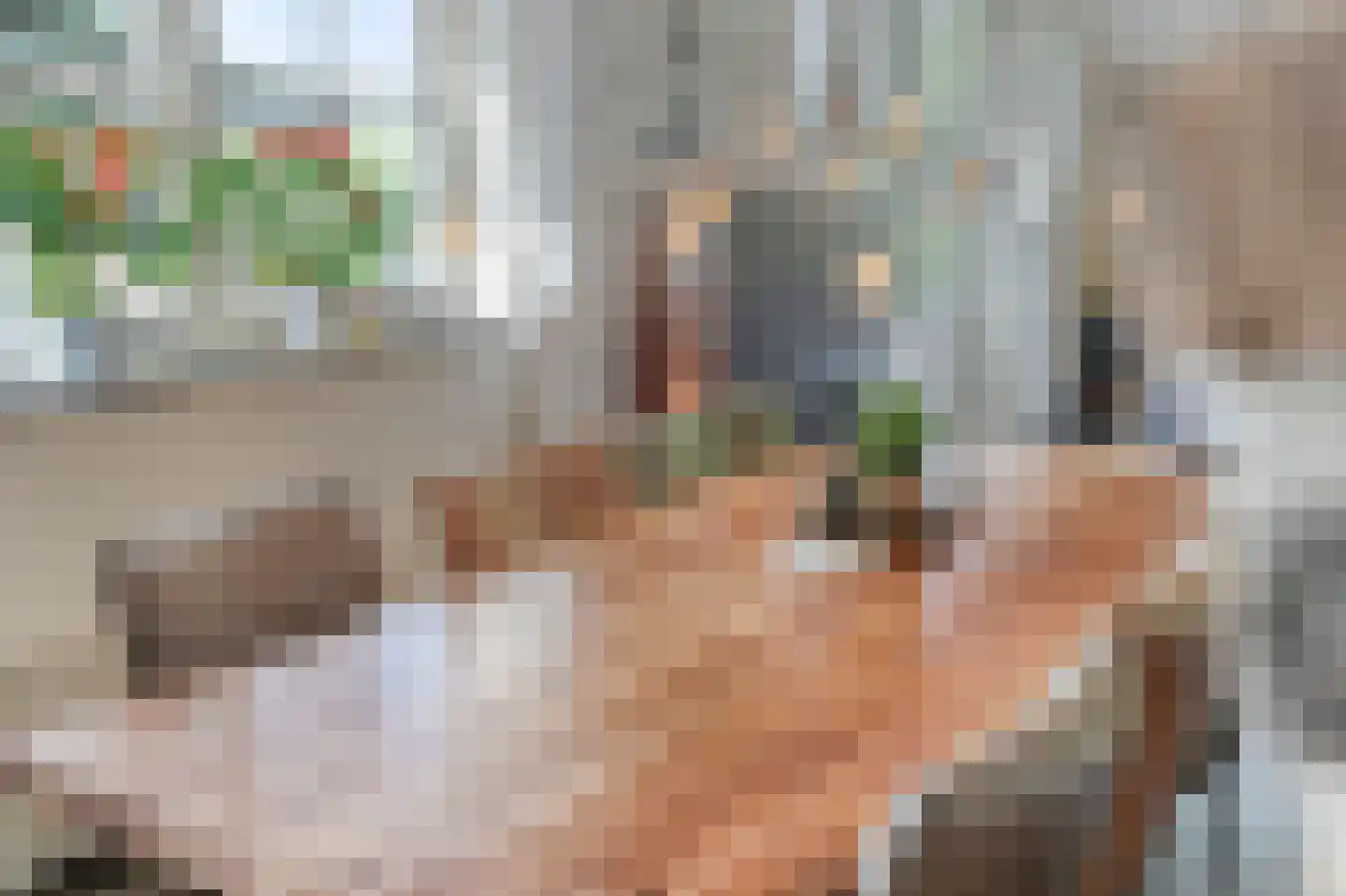 Zwartsluisje 9 Zuid-Beijerland thumbnail 22