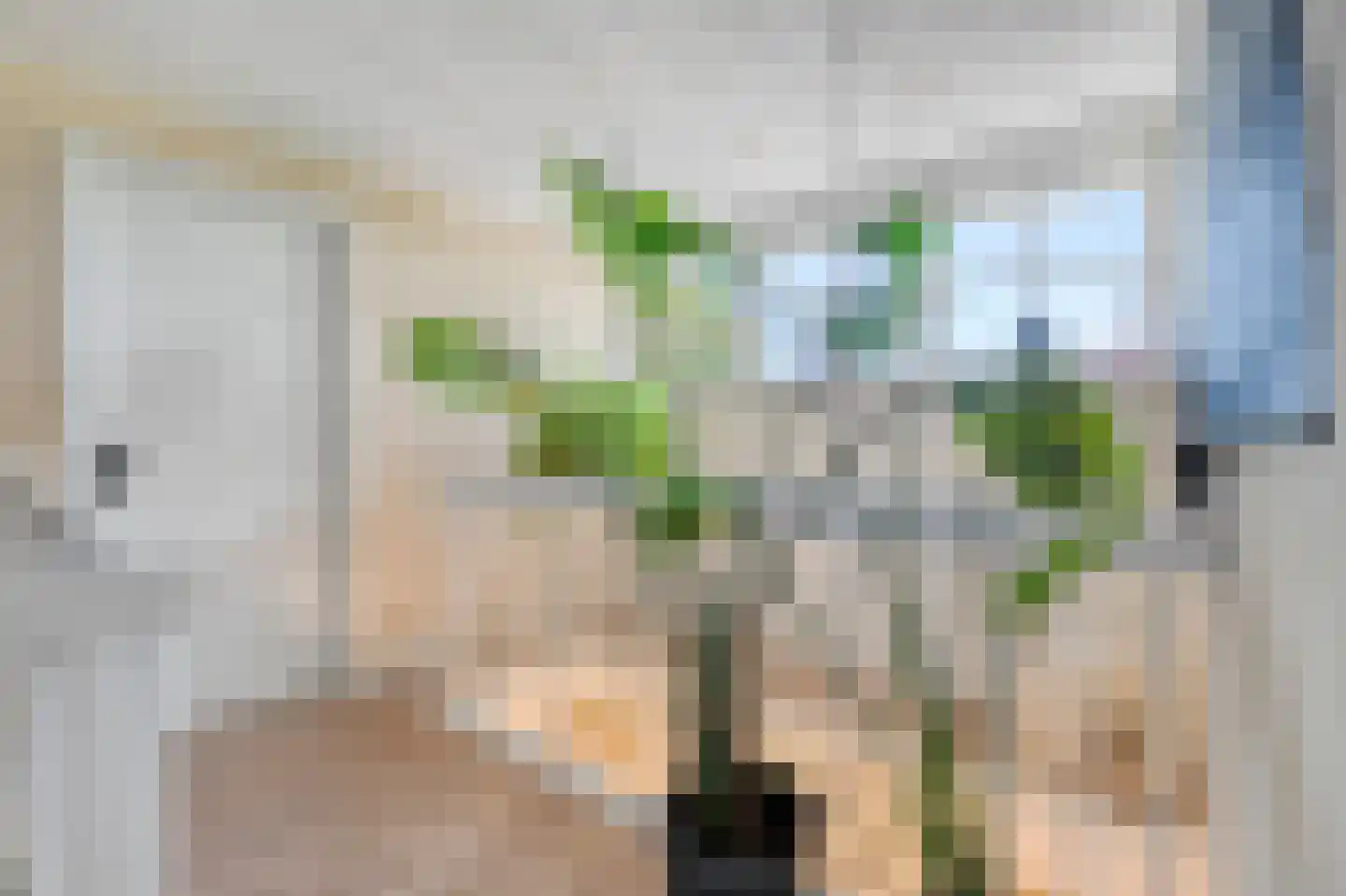 Zwartsluisje 9 Zuid-Beijerland thumbnail 30