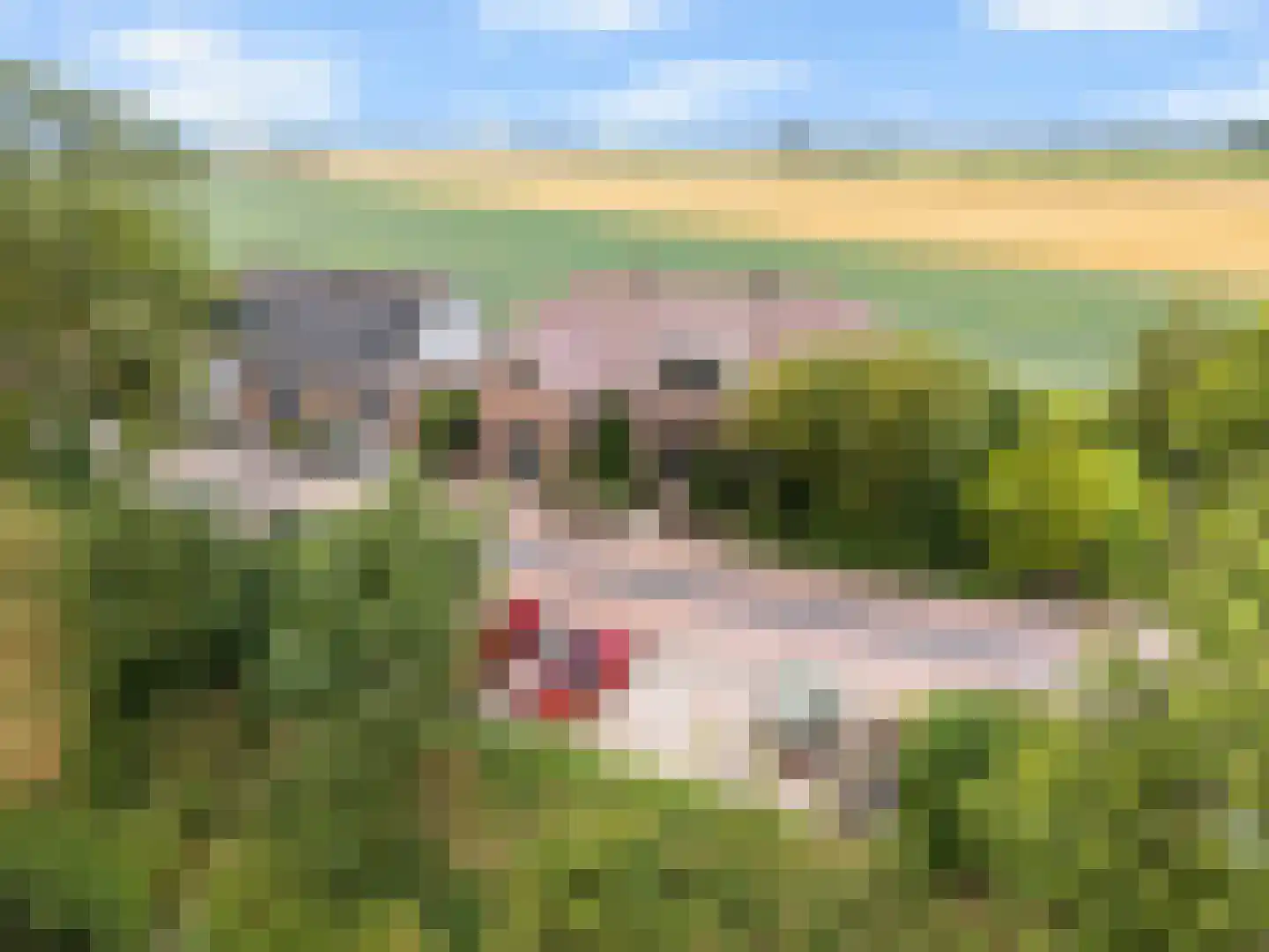 Zwartsluisje 9 Zuid-Beijerland thumbnail 54