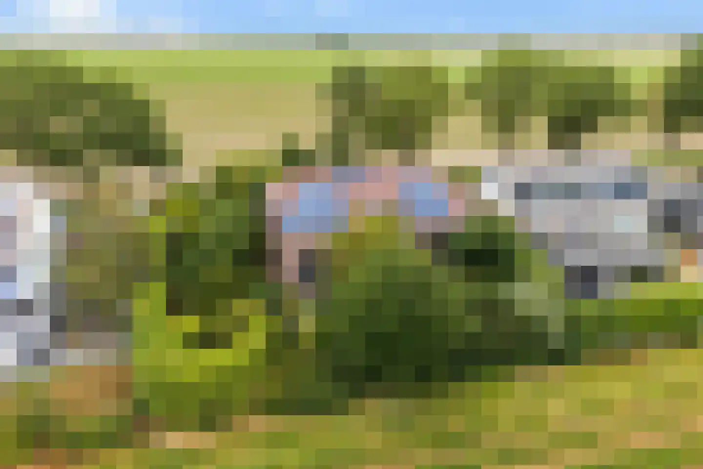 Zwartsluisje 9 Zuid-Beijerland thumbnail 58