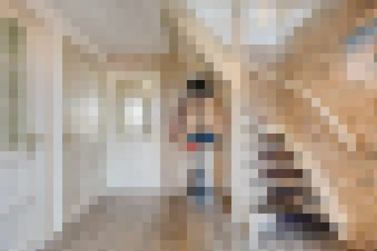 Zwartsluisje 9 Zuid-Beijerland thumbnail 6