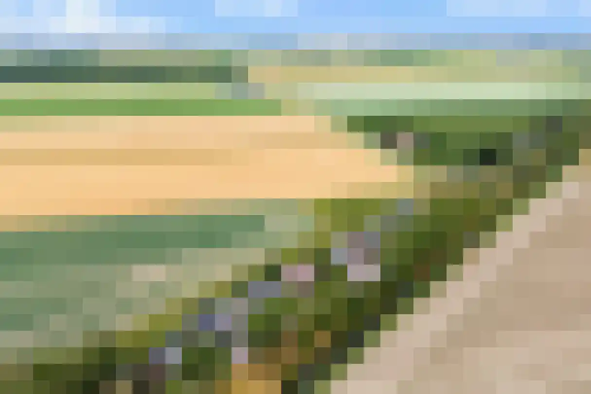 Zwartsluisje 9 Zuid-Beijerland thumbnail 60
