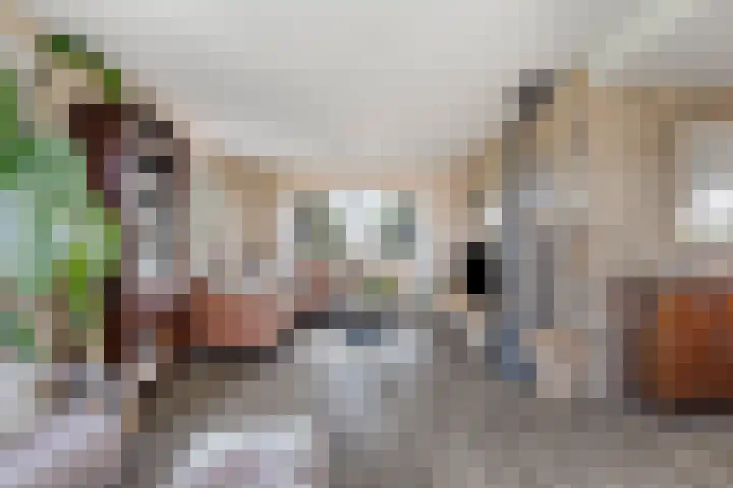 Zwartsluisje 9 Zuid-Beijerland thumbnail 9