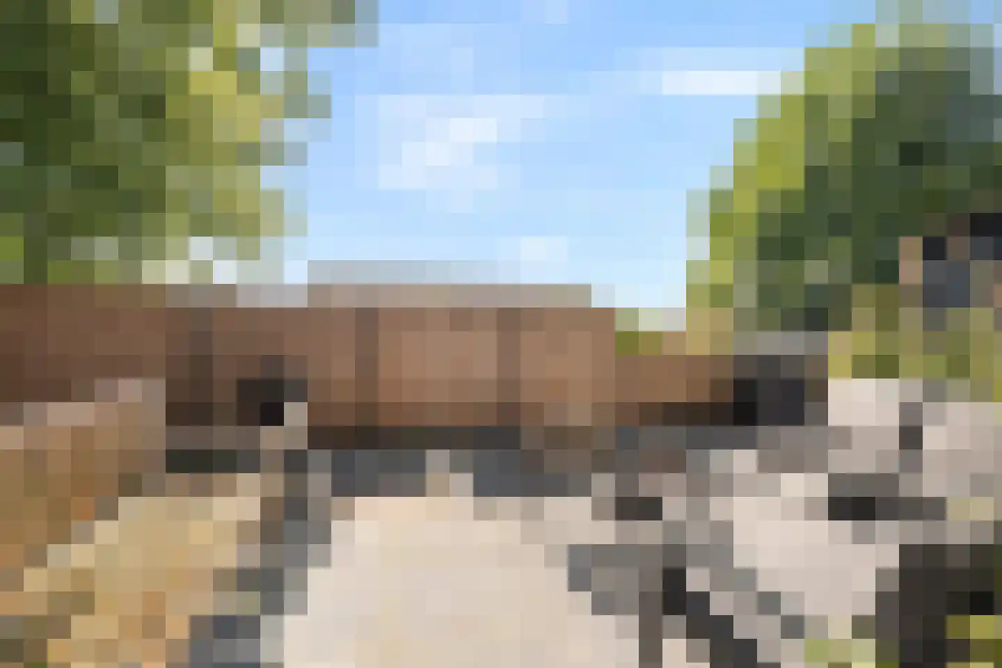 Zwartsluisje 97 Zuid-Beijerland thumbnail 21
