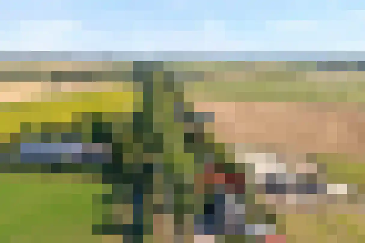Zwartsluisje 97 Zuid-Beijerland thumbnail 4