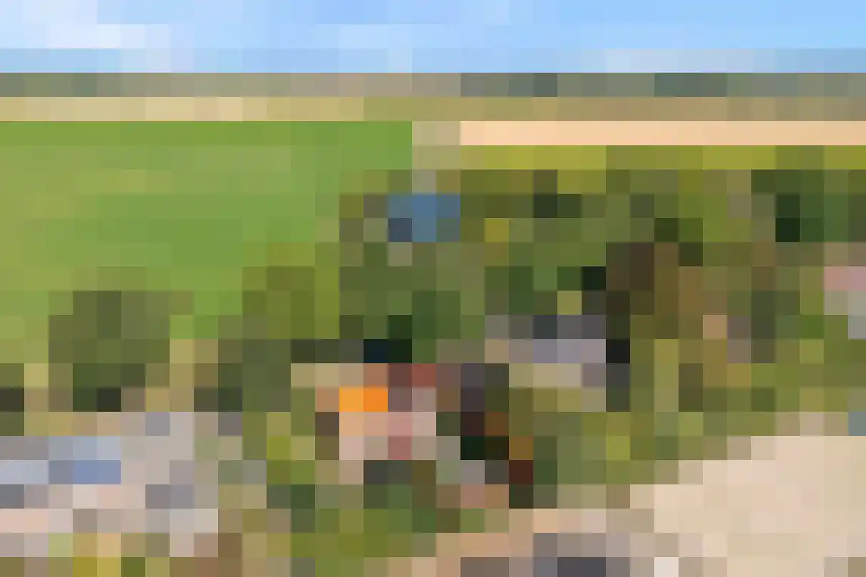 Zwartsluisje 97 Zuid-Beijerland thumbnail 44