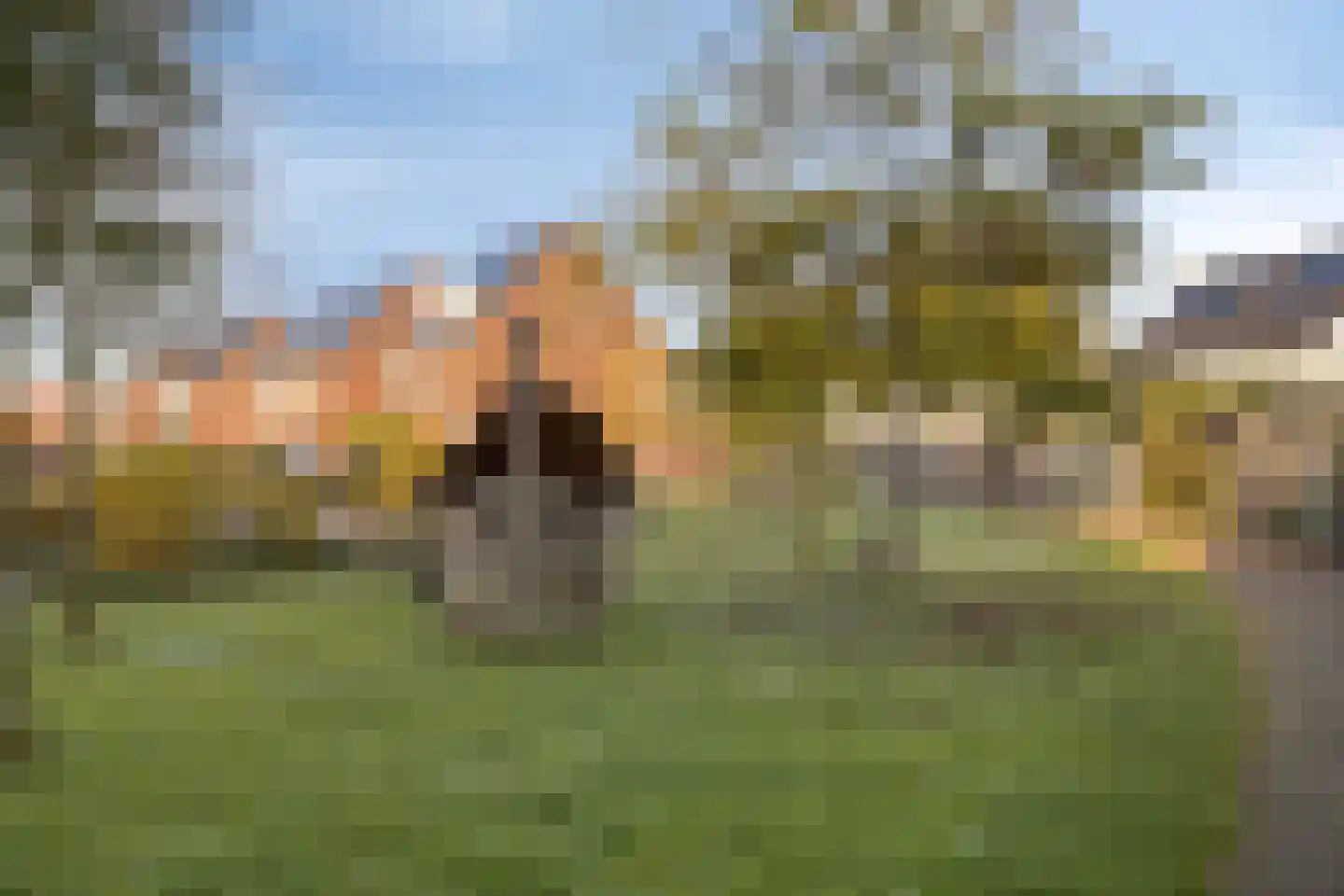 Zwartven 35 Veldhoven thumbnail 45