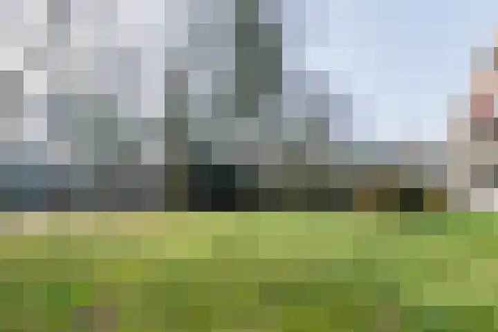 Zwartvenseweg 22 Tilburg thumbnail 32