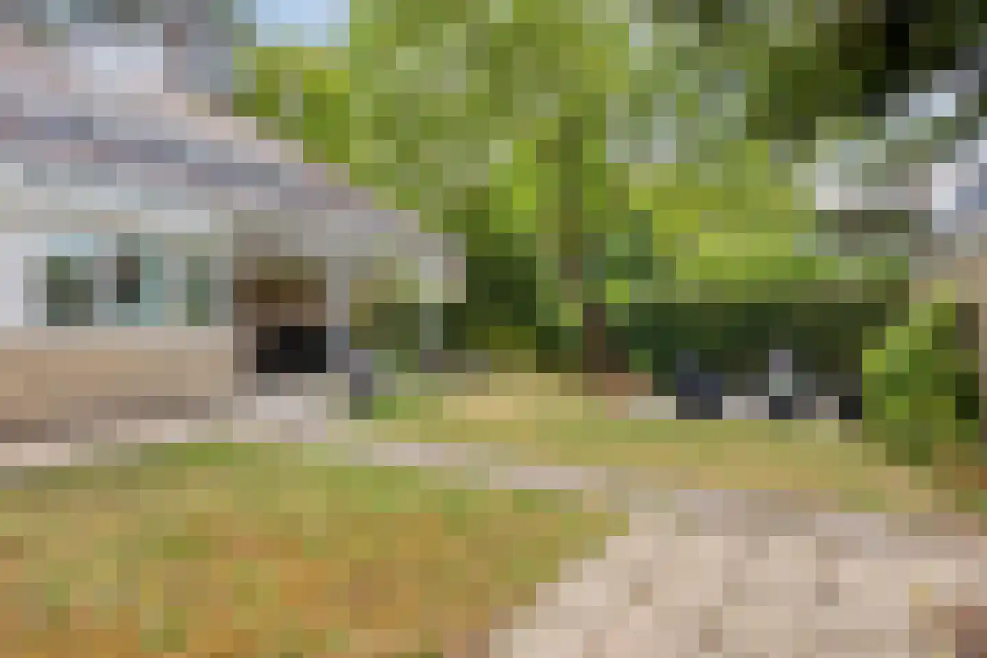 Zwartvenseweg 51 Tilburg thumbnail 38