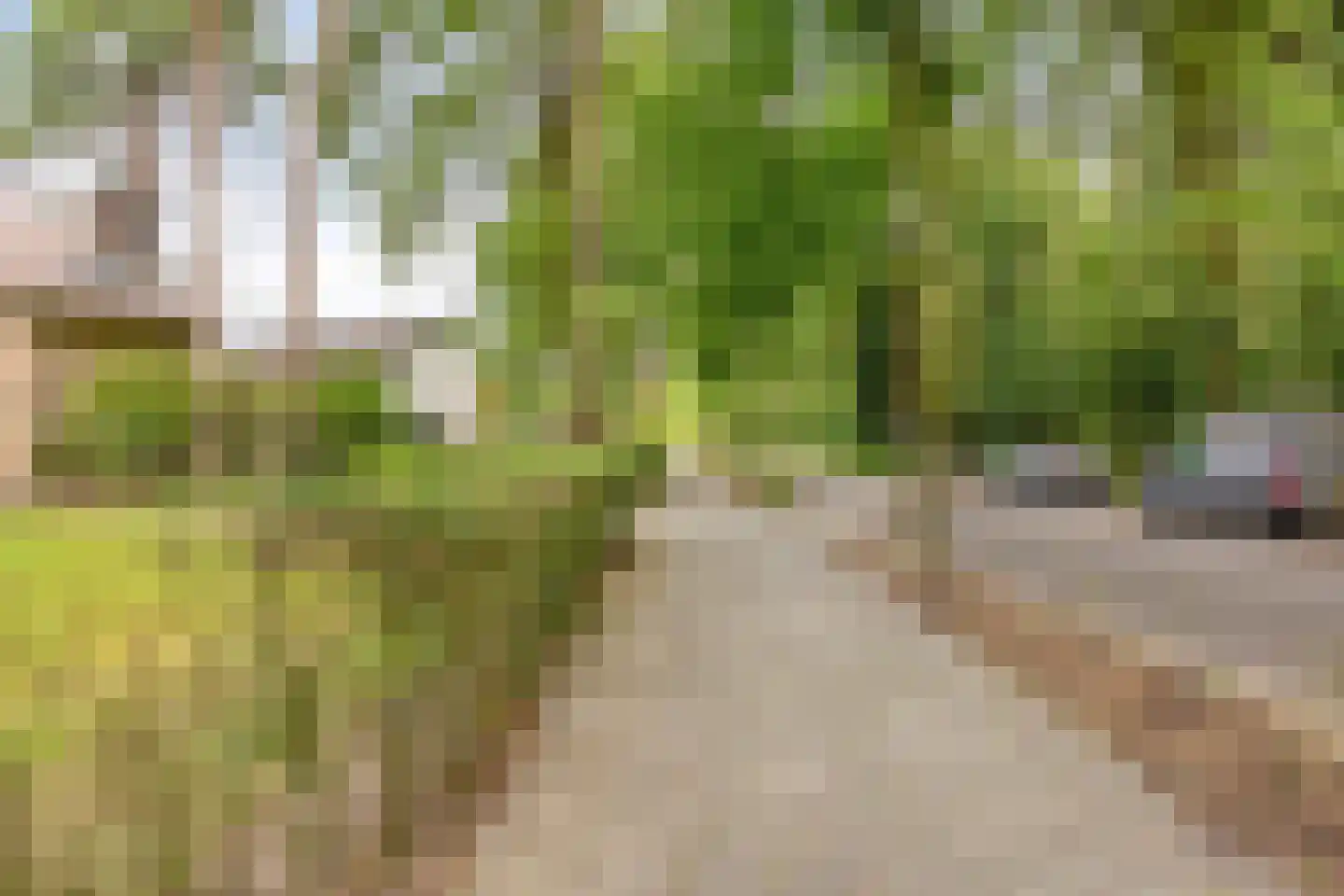 Zwartvenseweg 51 Tilburg thumbnail 44