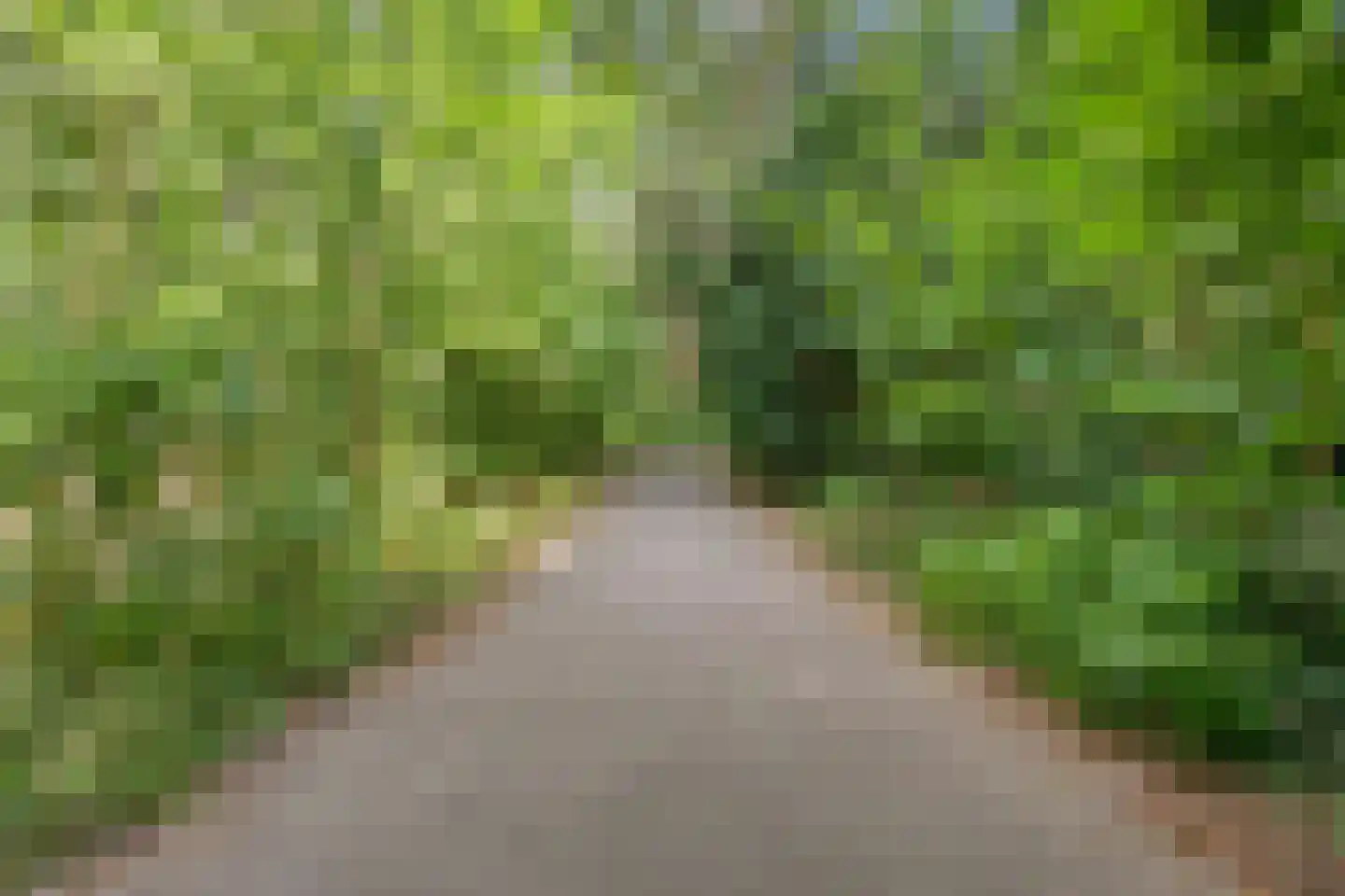 Zwartvenseweg 51 Tilburg thumbnail 45