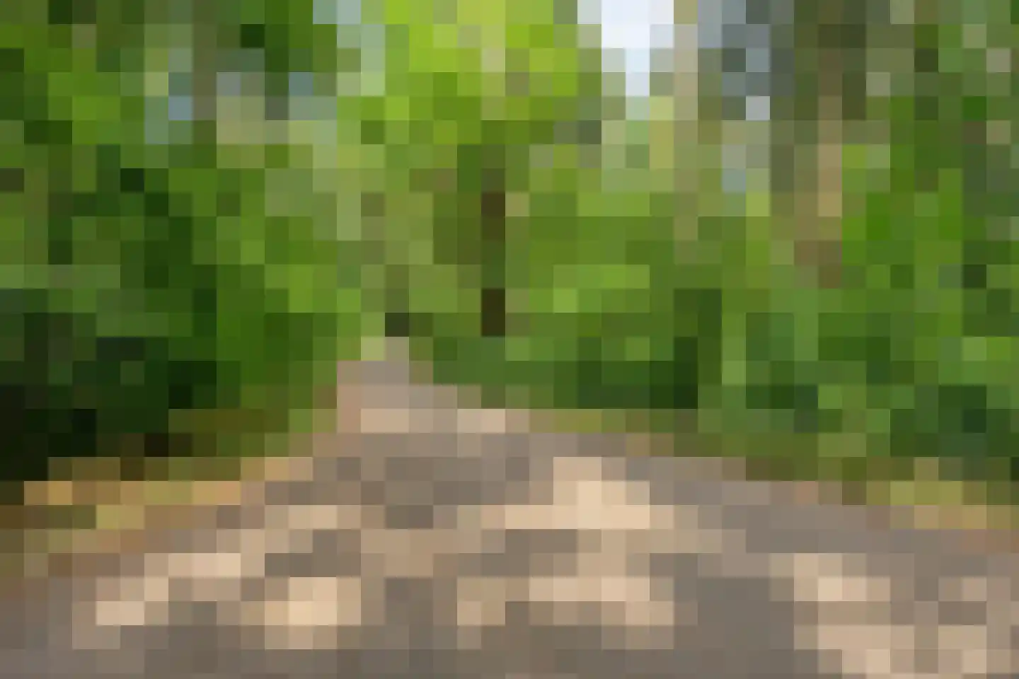 Zwartvenseweg 51 Tilburg thumbnail 46