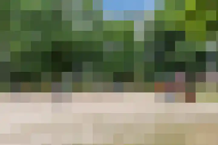 Zwartvenseweg 66 Tilburg thumbnail 32