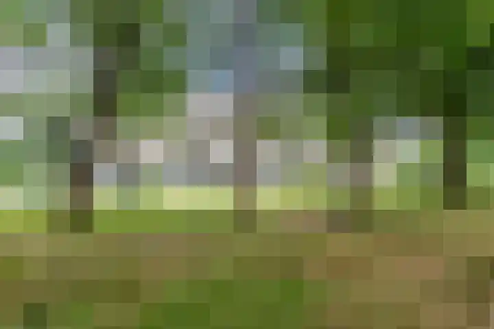 Zwartvenseweg 66 Tilburg thumbnail 34