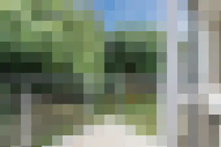 Zwartvenseweg 66 Tilburg thumbnail 6