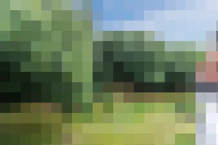 Zwartvenseweg 66 Tilburg thumbnail 8