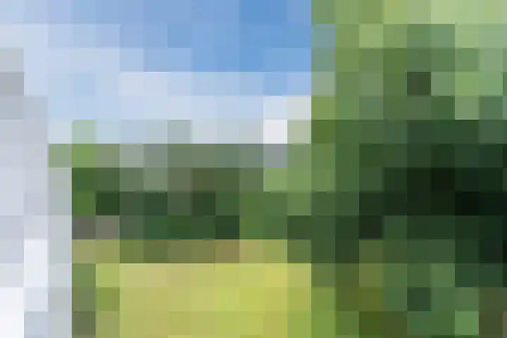 Zwartvenseweg 66 Tilburg thumbnail 9