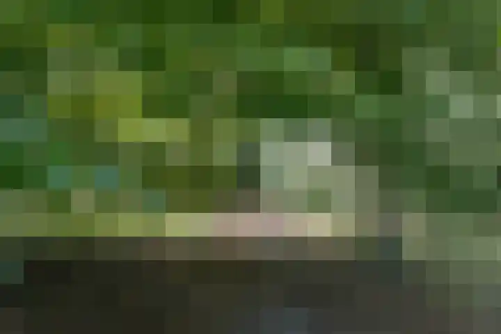 Zwartvenseweg 84 Tilburg thumbnail 40
