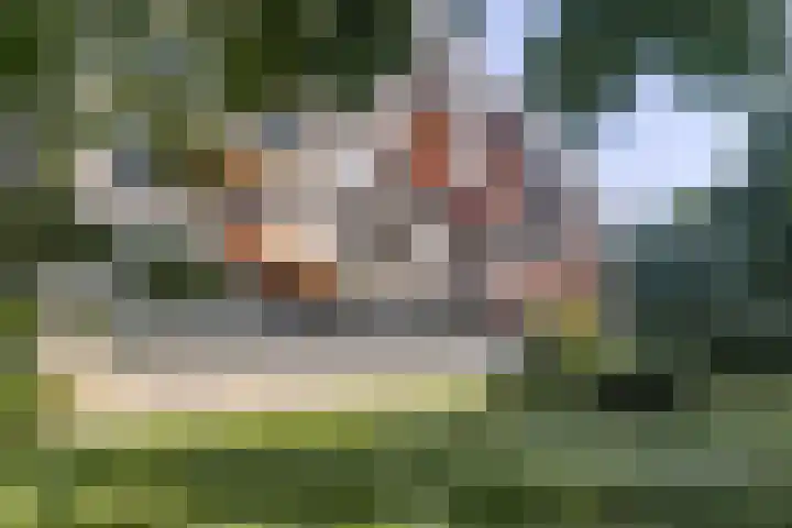 Zwartvenseweg 84 Tilburg thumbnail 41