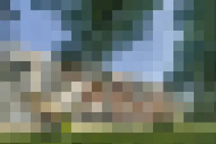 Zwartvenseweg 84 Tilburg thumbnail 42