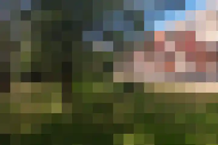 Zwartvenseweg 84 Tilburg thumbnail 45