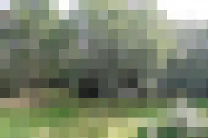 Zwartvenseweg 84 Tilburg thumbnail 54