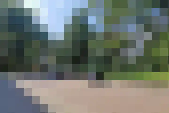 Zwartvenseweg 84 Tilburg thumbnail 55