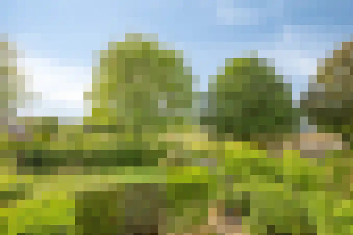 Zwartwatersweg 107 Assen thumbnail 22