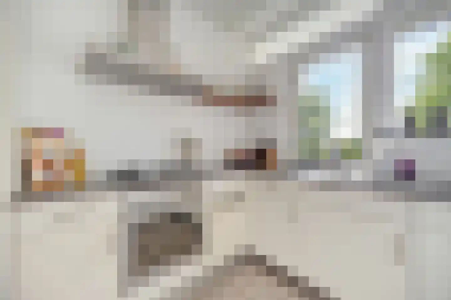 Zwartwatersweg 107 Assen thumbnail 28