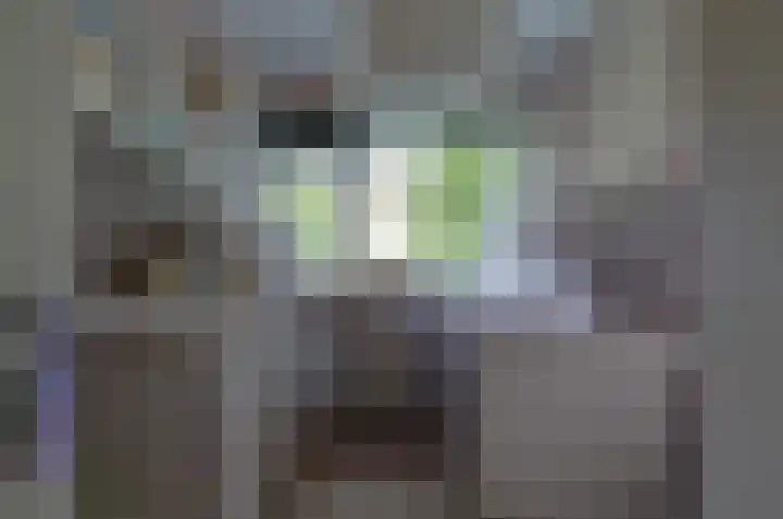 Zwartwatersweg 117 Assen thumbnail 12